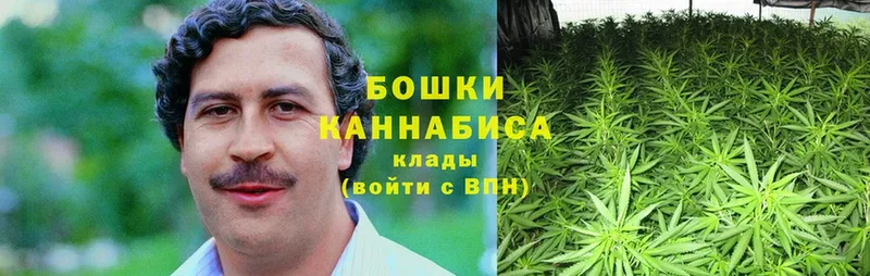 Шишки марихуана Ganja  где можно купить наркотик  Лагань 